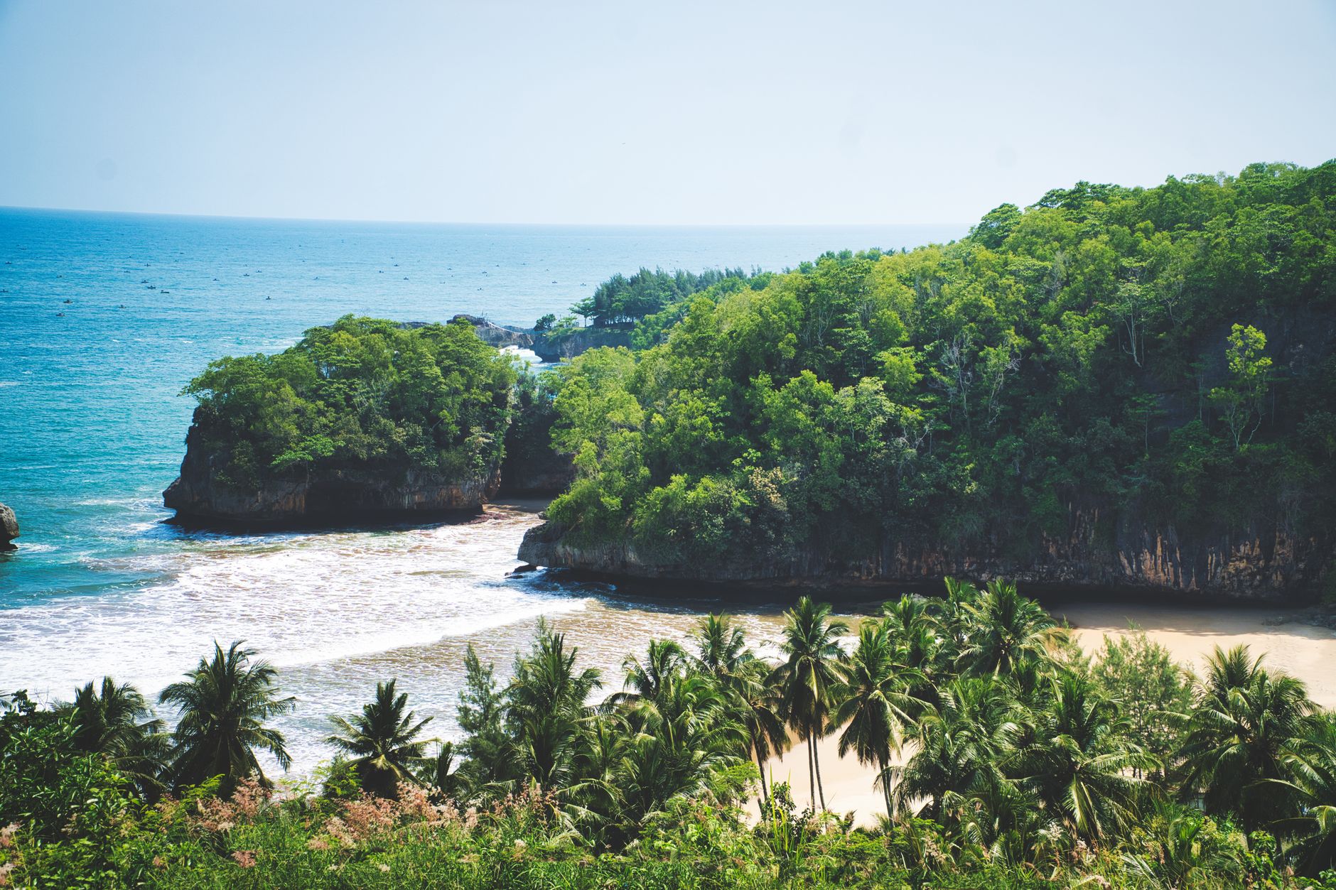 Remote beach bordered by thick rainforest on a tropical coastline