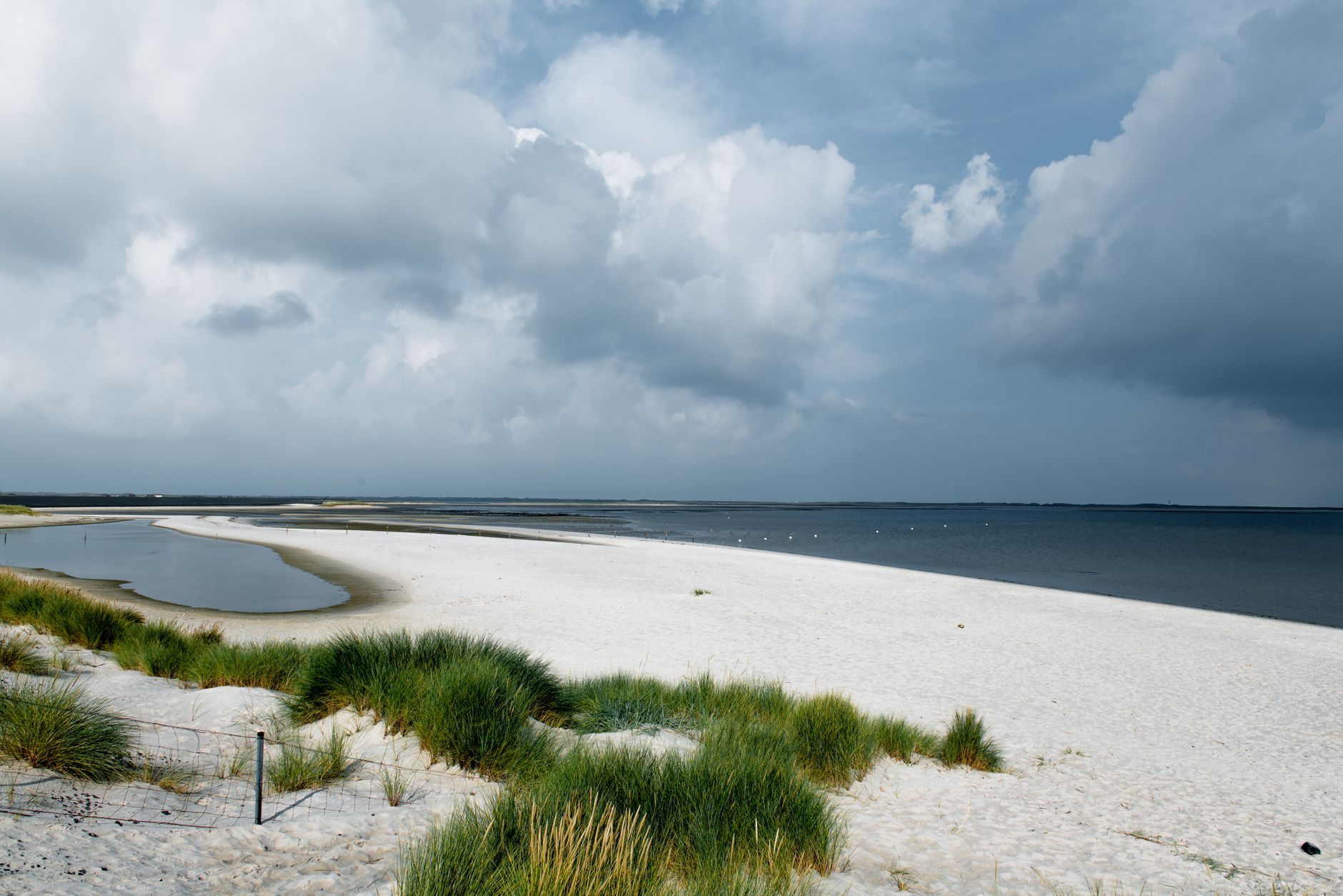 Deserted white sand beach lined with tropical forest and calm blue sea