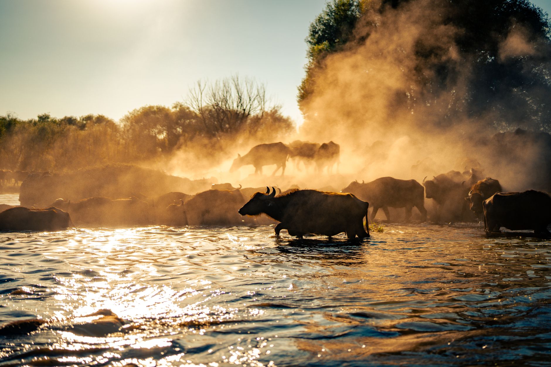 Small wooden ferry crossing a wide slow-moving river in rural Africa