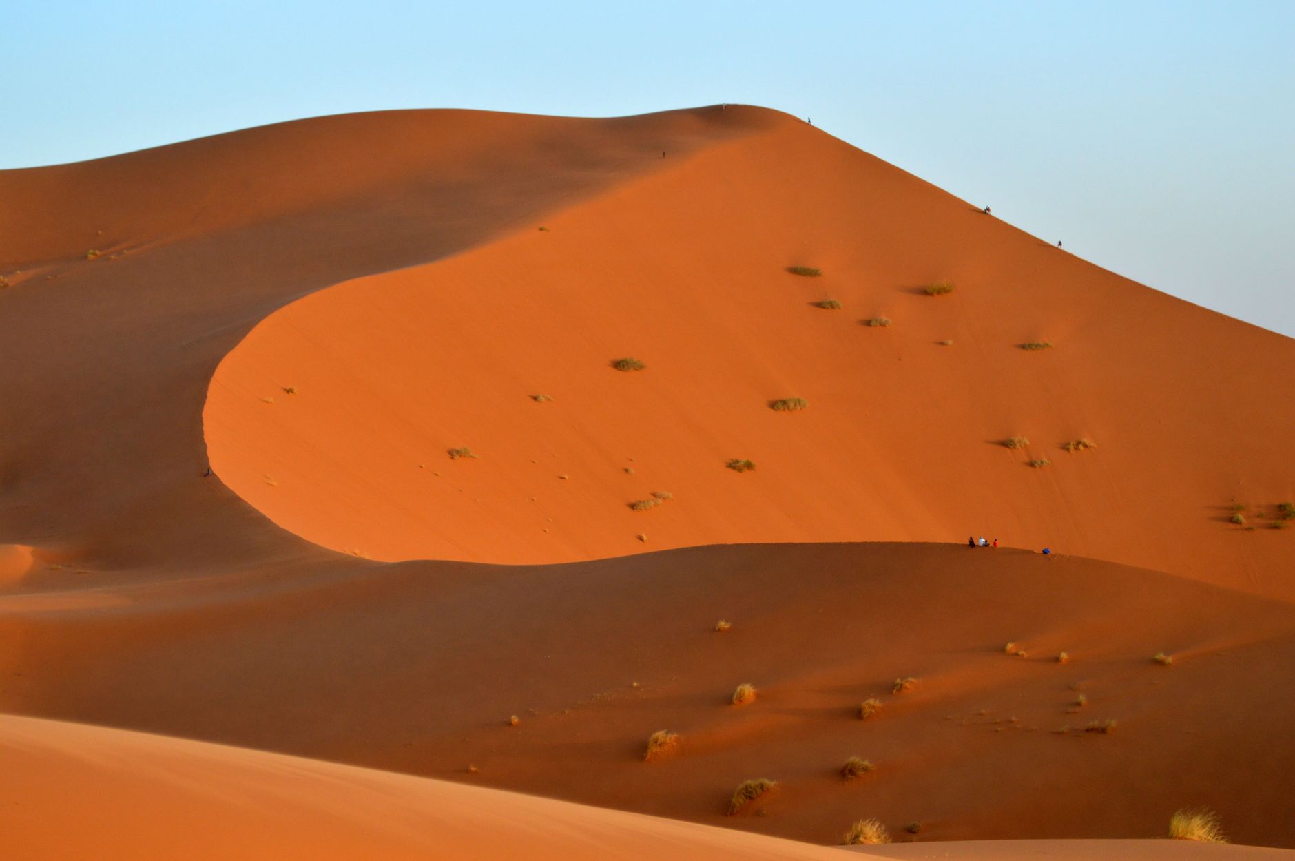 Rolling sand dunes of the Sahara desert bathed in warm golden light at sunset with no visible structures
