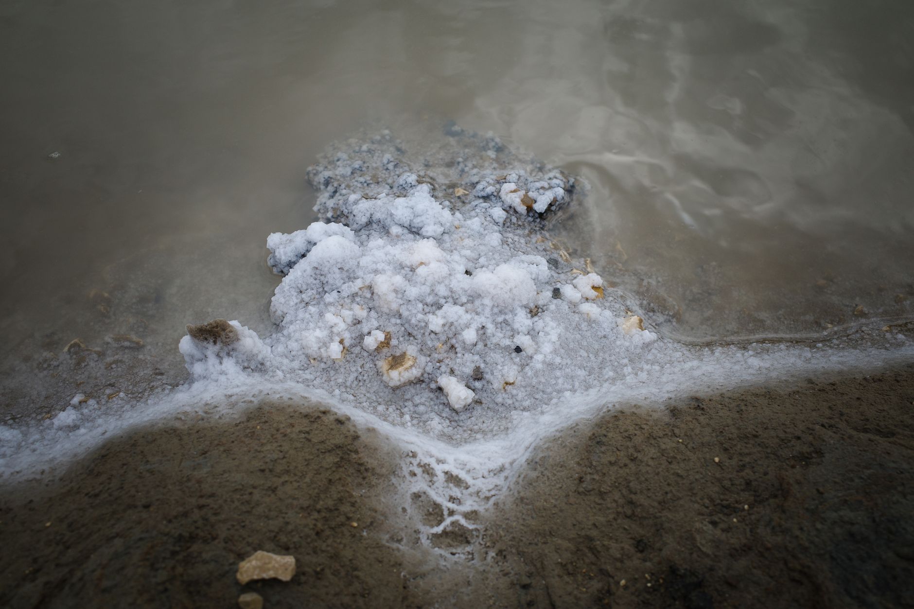 Close-up of white salt crystal formations along the edge of a mineral-rich lake