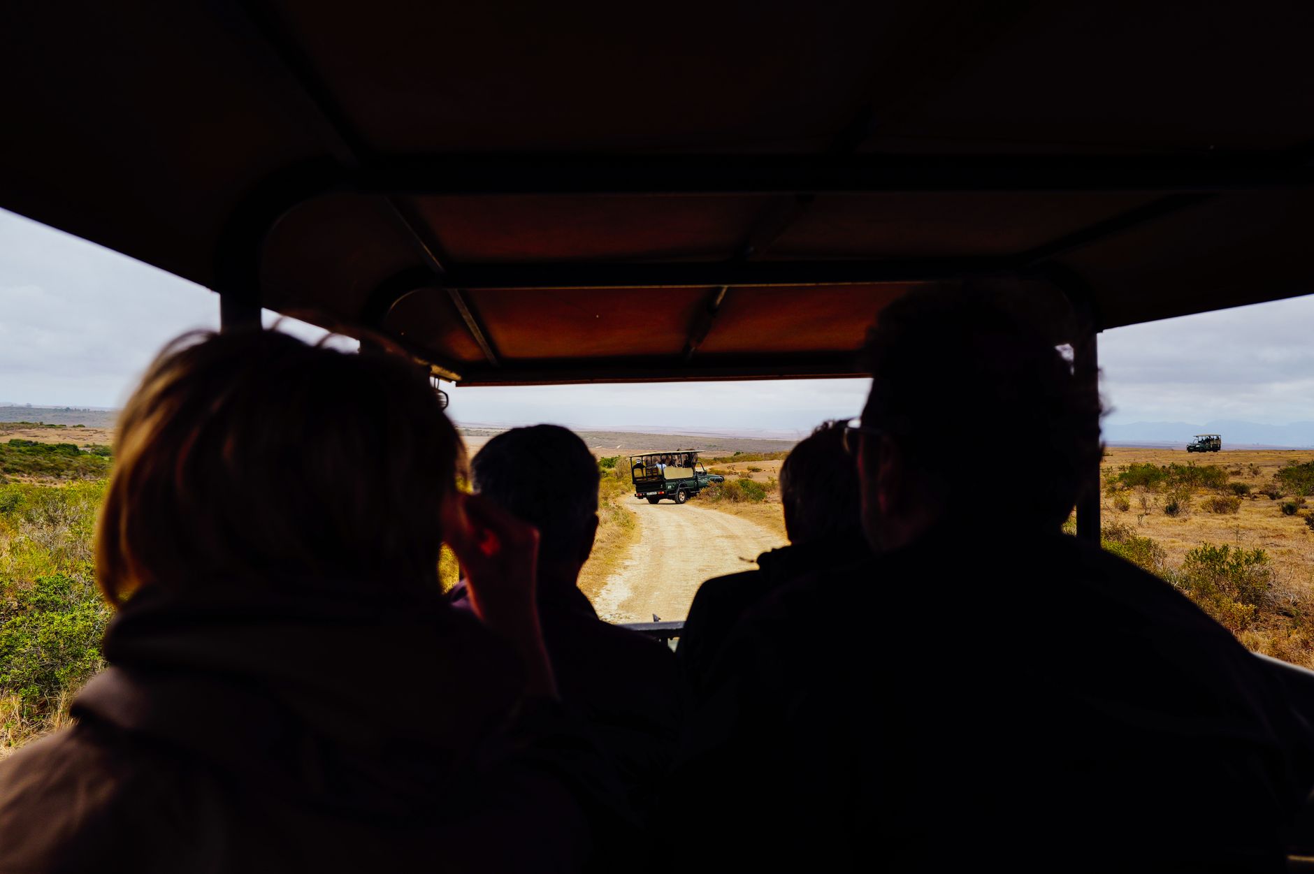 Safari vehicle positioned at the edge of a floodplain during an early morning game drive
